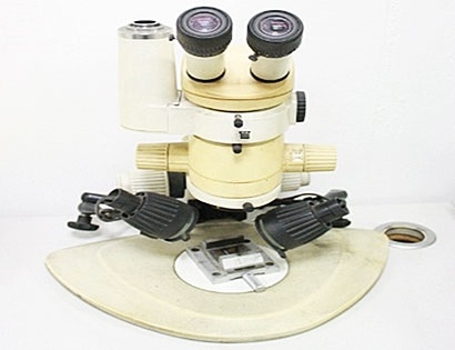 실체 현미경